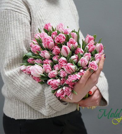 Голландские тюльпаны пионовидные бледно-розовые (под заказ 10 дней ) Фото 394x433